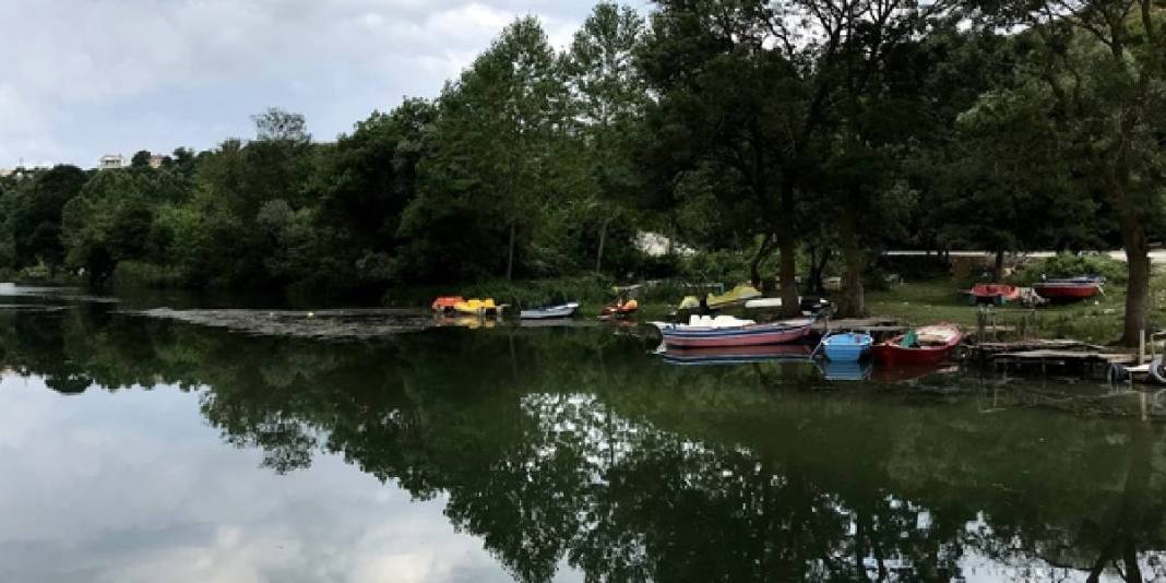 Emeklilerin huzur adresi! İstanbul’a sadece 2 saatlik mesafede: Kirası uygun, oksijeni bol, yaşamı ucuz 4